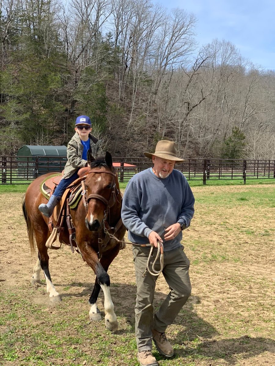 Cattle grazing on pasture